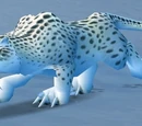 Snow Leopard