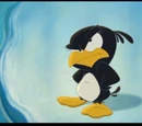 Baby Penguin