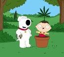 A Bag of Weed