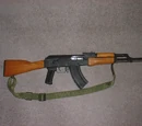 AK-47 Assault Rifle