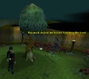 Lost City