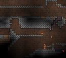 Skeleton