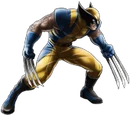Wolverine
