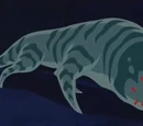 Lucubra