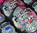 ARW World Tag Team Championship