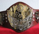 ACW Excel Championship