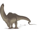 Amphicoelias