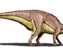 Xuwulong