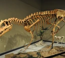 Deltadromeus
