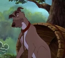 Chief (The Fox and the Hound)