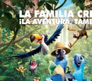 Rio 2