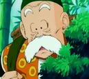 Grandpa Gohan