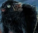 Naagloshii