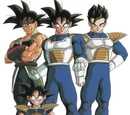 Saiyan (3.5e Race)