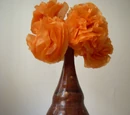 Tissue Paper Peonies