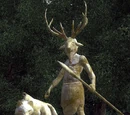 Hircine