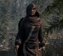 Dravynea the Stoneweaver