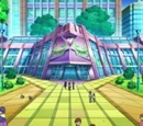 Gimnasio Pokémon de Ciudad Porcelana