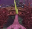 Bloody Onion