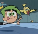 Cindy the Bee