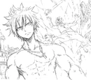Gray Fullbuster/Image Gallery