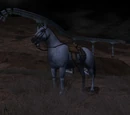 Cavalry Horse Bridle