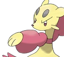 Mienfoo