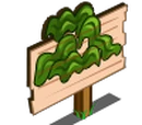 Kelp