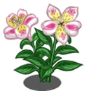 Alstroemeria Lily (Spring Basket)-icon.png