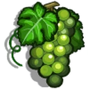 Sauvignon Blanc-icon.png