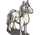 White Thoroughbred