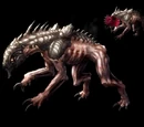 Borderlands