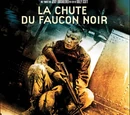 La Chute du faucon noir