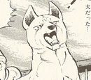 Fubuki