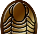 Trilobite