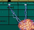 Xaerous Brain