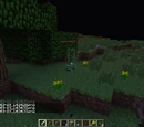 Phase Creeper