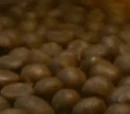 Chestnut (nut)