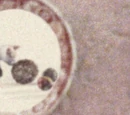 3 September
