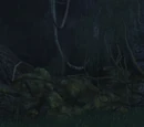 Auguol
