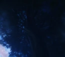 Hometree