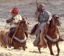 Bedouins' horses