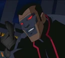 Michael Holt (DCAU)