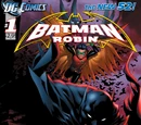 Batman and Robin Vol 2 1