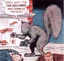Squirrel Earth-S.png