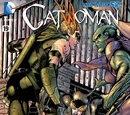 Catwoman Vol 4 19