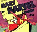 Mary Marvel Vol 1 2