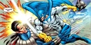 BlueJay 002.jpg
