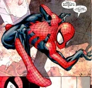 Spider-Man (Earth-58163) 002.jpg