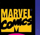The Punisher War Zone Vol 1 27